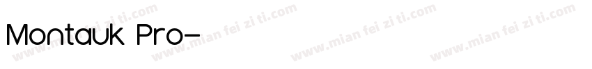 Montauk Pro字体转换